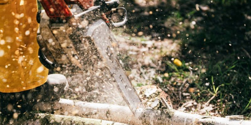 Mini motosierra a batería profesional ¿Cuál es mejor? 1 Motosierras de batería profesionales